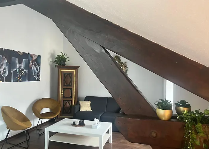 Au Mignonnet Apartment Millau